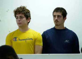 Two Teenagers Caught Smuggling 5,000 Ants in Kenya, Face Prison or Heavy Fine