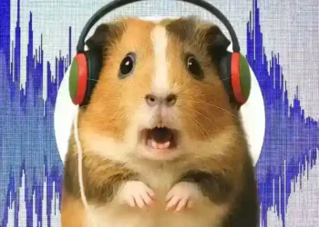 Listening to Compressed Music at Safe Volumes May Still Damage Your Ears- image credit to Headphonesty