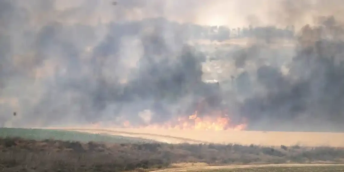 Israel Seeks Global Help as Wildfires Spiral Out of Control - Mostafa Alkharouf/Anadolu/Getty Images