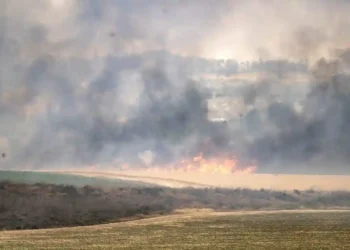 Israel Seeks Global Help as Wildfires Spiral Out of Control - Mostafa Alkharouf/Anadolu/Getty Images