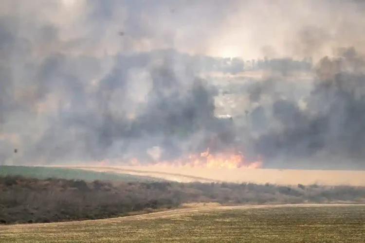 Israel Seeks Global Help as Wildfires Spiral Out of Control - Mostafa Alkharouf/Anadolu/Getty Images