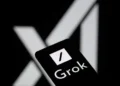Elon Musk’s Grok AI Mixes Up Answers About Baseball and South Africa - Jonathan Raa/NurPhoto/Getty Images/File