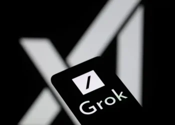 Elon Musk’s Grok AI Mixes Up Answers About Baseball and South Africa - Jonathan Raa/NurPhoto/Getty Images/File