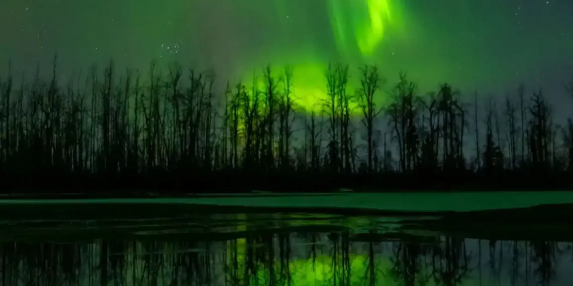 Americans Pull Back on Travel Amid Border and Economic Fears - Hasan Akbas/Anadolu/Getty Images