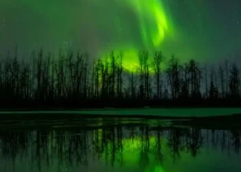 Americans Pull Back on Travel Amid Border and Economic Fears - Hasan Akbas/Anadolu/Getty Images