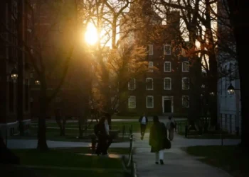 What Harvard’s Immigration Ban Means for Students and Research - Sophie Park/Getty Images