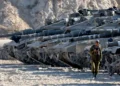 Ceasefire Talks Advance: Hamas Wants Assurances, Israel Agrees to Deal - Jack Guez/AFP via Getty Images