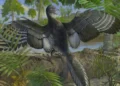 Locked Away for 30 Years: Rare Fossil Reveals Secrets of Prehistoric Flight - Michael Rothman/Field Museum