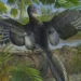 Locked Away for 30 Years: Rare Fossil Reveals Secrets of Prehistoric Flight - Michael Rothman/Field Museum