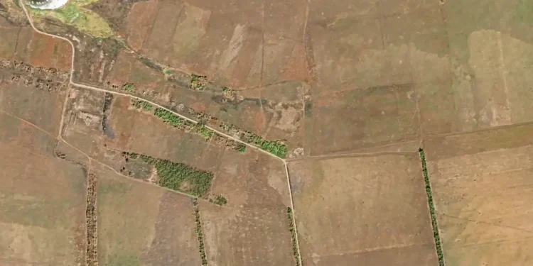 Russia Accused of Executing Ukrainian Soldiers Who Tried to Surrender - Maxar Technologies