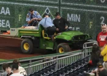 Pirates Game Paused After Fan Falls from Right Field Wall - AP Photo/Gene Puskar