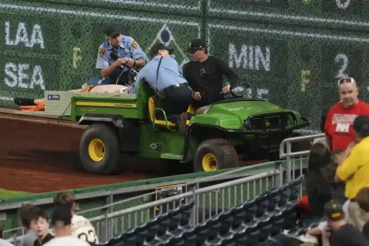 Pirates Game Paused After Fan Falls from Right Field Wall - AP Photo/Gene Puskar