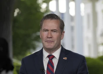 Waltz Nominated for UN Post Following Security Breach Fallout - Alex Brandon/AP Photo