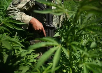 Behind Enemy Lines: Meeting a Cartel Member in Culiacán - David von Blohn/CNN