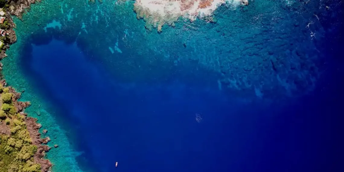 Researchers Warn Hawaii’s Coral Reefs May Be Near Collapse - Greg Asner