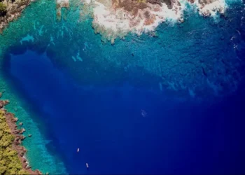 Researchers Warn Hawaii’s Coral Reefs May Be Near Collapse - Greg Asner