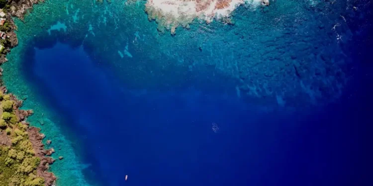 Researchers Warn Hawaii’s Coral Reefs May Be Near Collapse - Greg Asner