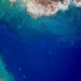 Researchers Warn Hawaii’s Coral Reefs May Be Near Collapse - Greg Asner