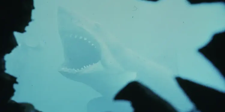 Think You Know Jaws? These Facts Might Surprise You - Peacock/Universal Pictures via AP