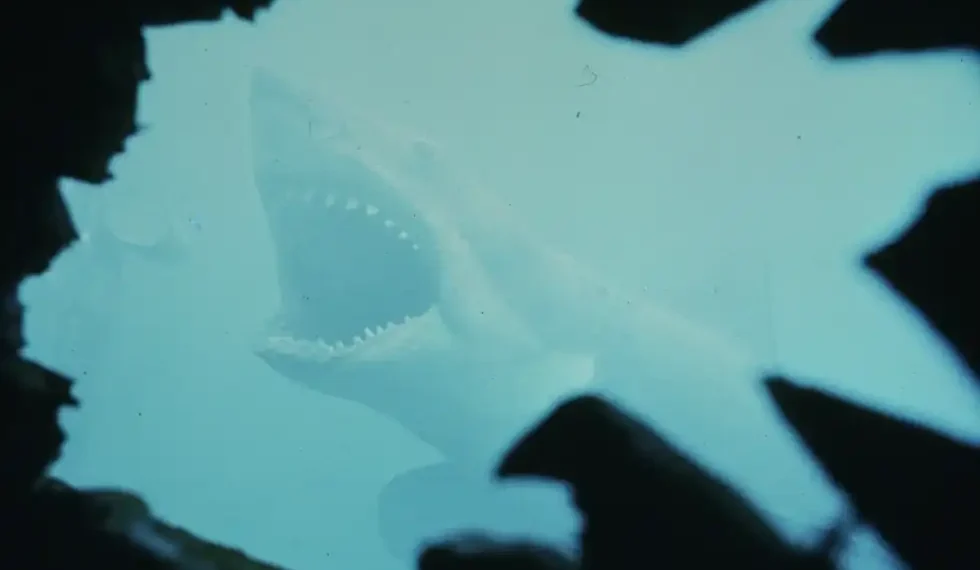 Think You Know Jaws? These Facts Might Surprise You - Peacock/Universal Pictures via AP