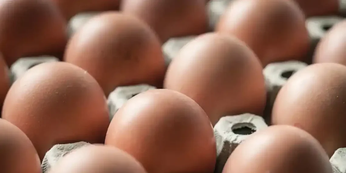 Salmonella Found in Eggs Sold at Major Retailers Across Seven States - Westend61/Getty Images