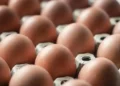 Salmonella Found in Eggs Sold at Major Retailers Across Seven States - Westend61/Getty Images