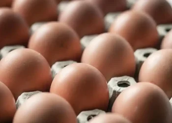Salmonella Found in Eggs Sold at Major Retailers Across Seven States - Westend61/Getty Images