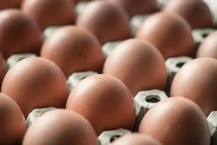 Salmonella Found in Eggs Sold at Major Retailers Across Seven States - Westend61/Getty Images