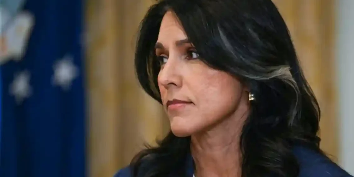 Tulsi Gabbard Alleges 2016 Election Cover-Up by Former Obama Intelligence Leaders - Andrew Caballero-Reynolds/AFP via Getty Images