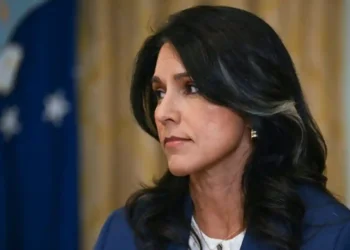 Tulsi Gabbard Alleges 2016 Election Cover-Up by Former Obama Intelligence Leaders - Andrew Caballero-Reynolds/AFP via Getty Images