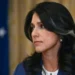 Tulsi Gabbard Alleges 2016 Election Cover-Up by Former Obama Intelligence Leaders - Andrew Caballero-Reynolds/AFP via Getty Images