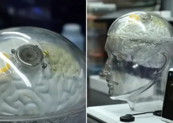 China’s Brain Tech Advances Signal New Rivalry with U.S. in Neural Implants - CNN