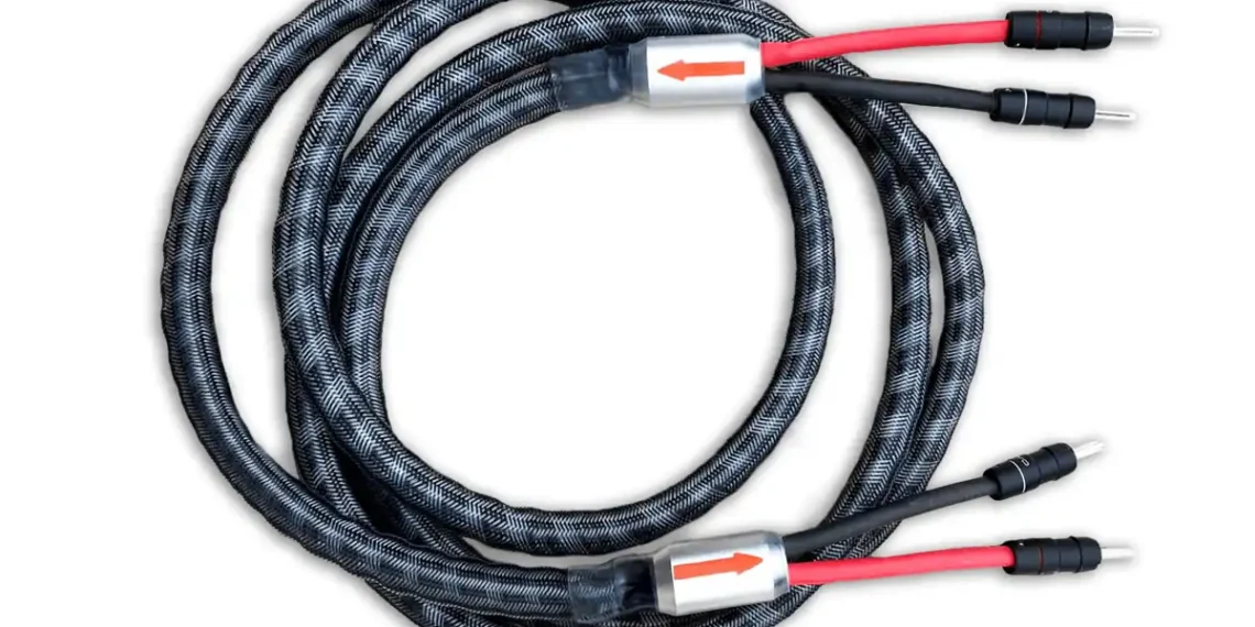 Are High-End Speaker Cables Worth It? Pros and Cons for Audiophiles in 2025 - image credit to MissingBond