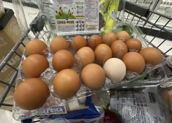 U.S. Inflation Hits Four-Month High Amid Trump’s Sweeping Tariff Expansion - AP Photo/Robert F. Bukaty, File