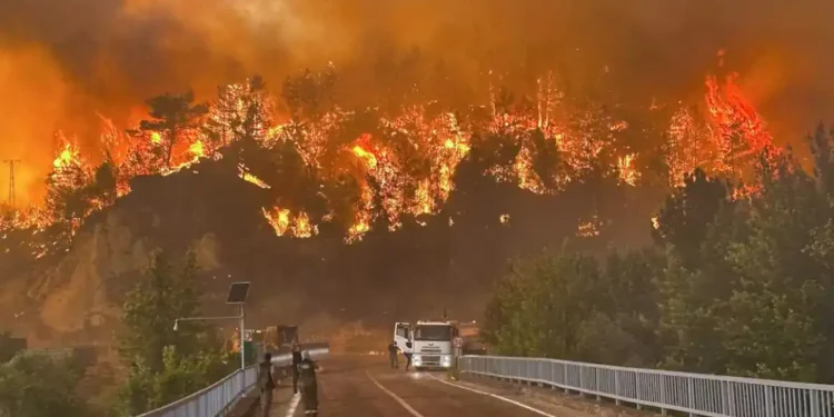 Ten emergency workers die battling wildfire in northwestern Turkey’s Eskisehir province - Ridvan Bostanci/IHA via AP