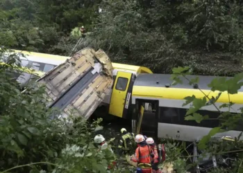 Train Derails in Forested Area of Germany—Landslide Possible Cause, Officials Say - Thomas Warnack/dpa via AP