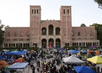 UCLA Agrees to $6.13 Million Settlement Over Campus Protest Civil Rights Case - AP Photo/Jae C. Hong, File