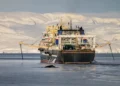 Krill Boom in Antarctica Sparks Overfishing Fears and Conservation Alarm - Youenn Kerdavid/Sea Shepherd via AP