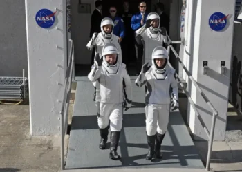 Weather Halts SpaceX Crew-10 Launch to ISS at Final Countdown - AP Photo/John Raoux