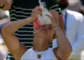 Wimbledon Sizzles: Heatwave Disrupts Matches and Fans Struggle - Kin Cheung/AP