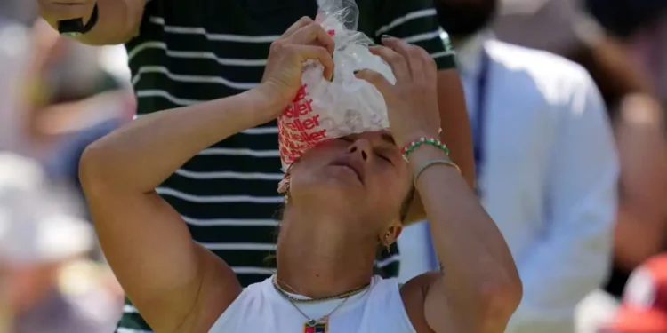 Wimbledon Sizzles: Heatwave Disrupts Matches and Fans Struggle - Kin Cheung/AP