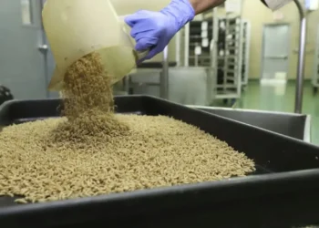 The Government Is Dropping Flies from Planes—Here’s Why - COPEG via AP