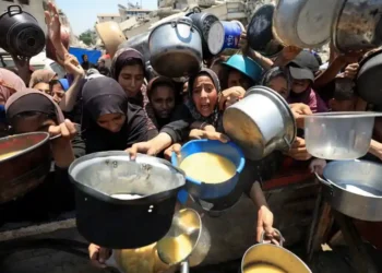 Starvation in Gaza: Will Israel’s Tactical Pause Be Enough to Prevent More Deaths? - Ebrahim Hajjaj/Reuters
