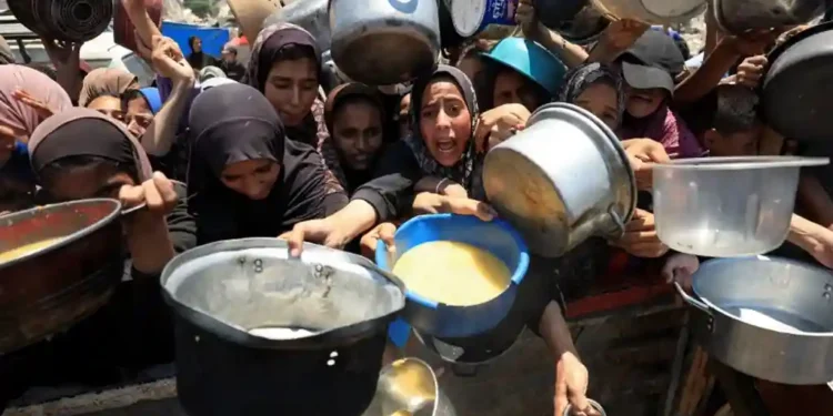 Starvation in Gaza: Will Israel’s Tactical Pause Be Enough to Prevent More Deaths? - Ebrahim Hajjaj/Reuters
