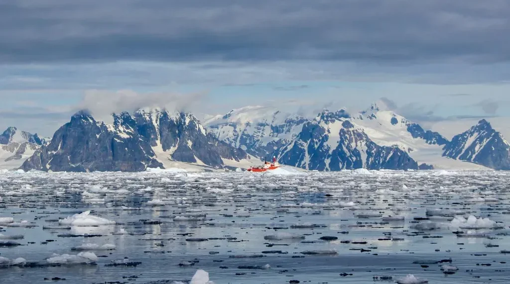 Antarctic Sediment Cores Offer Insights into Climate Change, Whale Populations, and Human Impact on the Southern Ocean Ecosystem - Elisenda Balleste/BBC