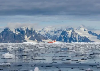 Antarctic Sediment Cores Offer Insights into Climate Change, Whale Populations, and Human Impact on the Southern Ocean Ecosystem - Elisenda Balleste/BBC