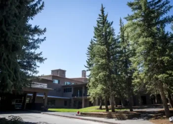 Hundreds May Have Encountered Bats at Jackson Lake Lodge Cabins, Prompting Nationwide Rabies Precaution Alerts from Wyoming Authorities - AP Photo/Amber Baesler, File