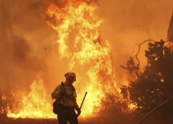 Rapidly Spreading Canyon Fire Threatens Homes Near Lake Piru and Lake Castaic - AP Photo/Marcio Jose Sanchez