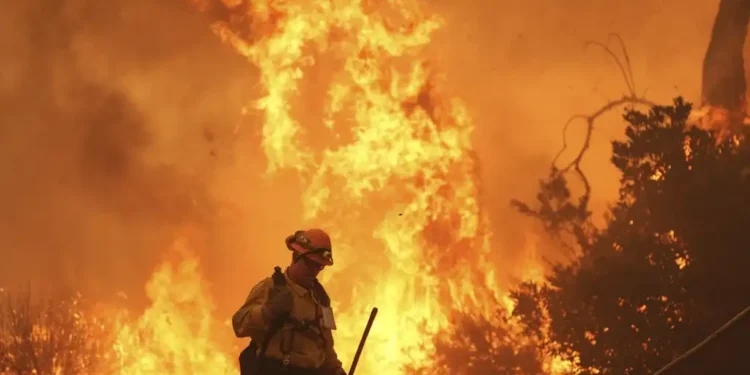 Rapidly Spreading Canyon Fire Threatens Homes Near Lake Piru and Lake Castaic - AP Photo/Marcio Jose Sanchez
