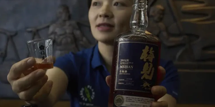 From Banquets to Bars: Baijiu Finds New Life in China’s Youth Culture - AP Photo/Andy Wong